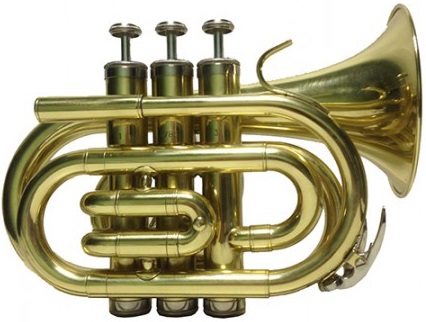 Фото Труба-мини BRAHNER  TM-505PF