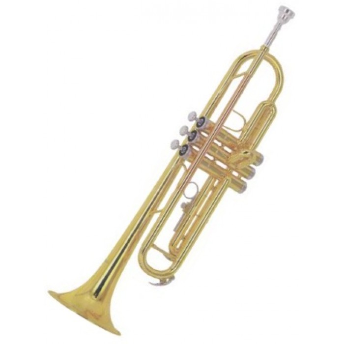 Фото BOSTON TROMBA TR-1L