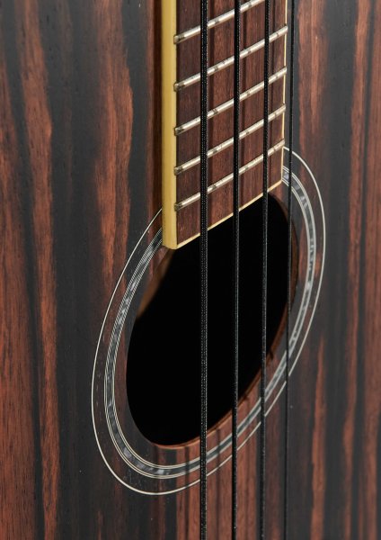 Фото Электроакустическая бас-гитара Sevillia AE-BASS