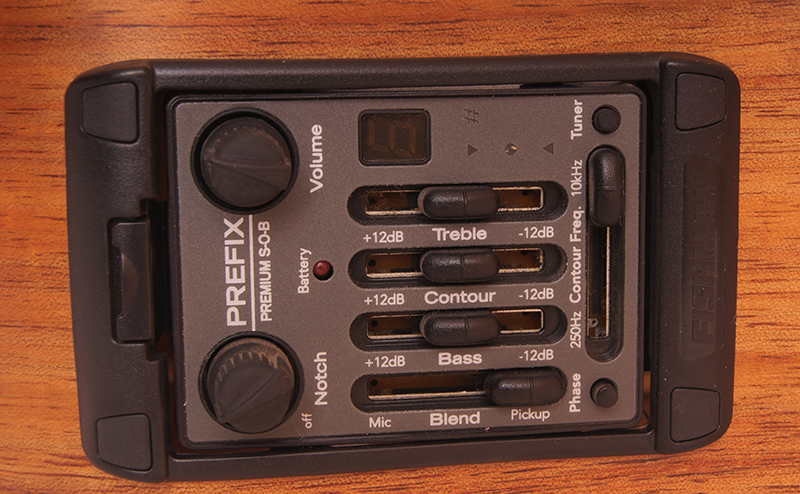 Фото Электро-акустическая гитара PW-460-12-NS Parkwood