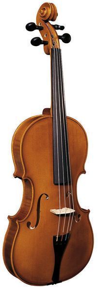 Фото Альт концертный Strunal 3/90A-41 Palermo