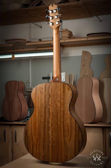 Фото Акустическая гитара NewTone SENDSTORM GA N 45