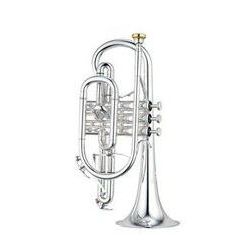 Фото Корнет Yamaha YCR-8335S