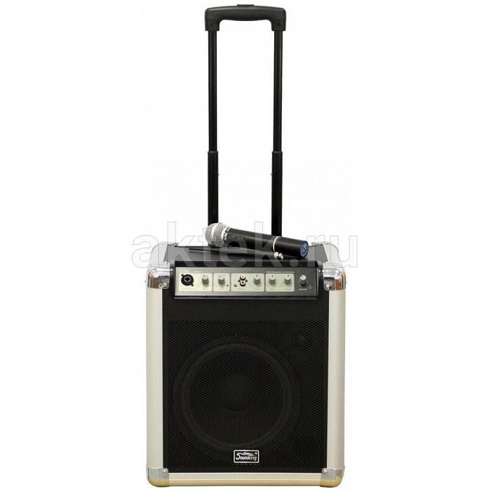 Фото Активная акустическая система Soundking PA10W
