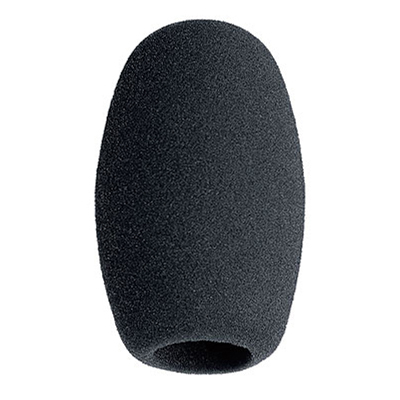 Фото Sennheiser MZW 1