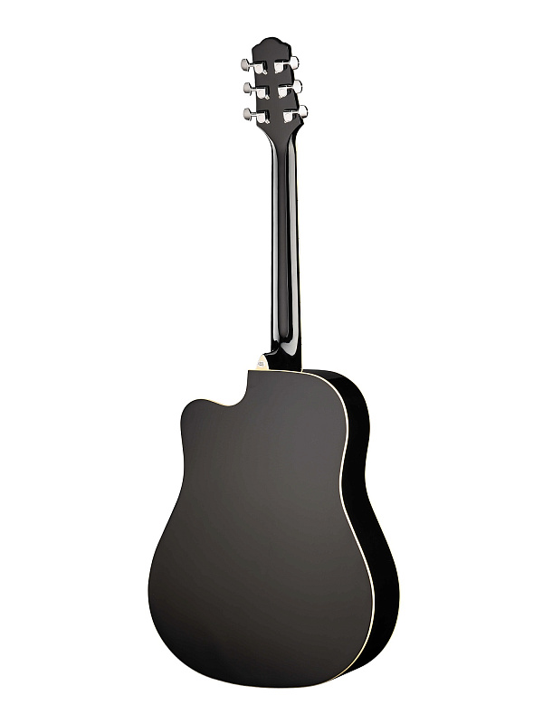 Фото Акустическая гитара Naranda DG220CBK