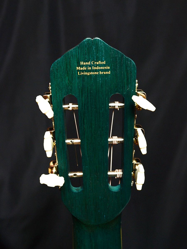 Фото Гитара Livingstone Folkblues BL  39" с вырезом