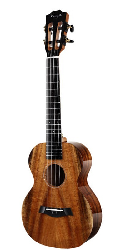 Фото Enya EUC-A1