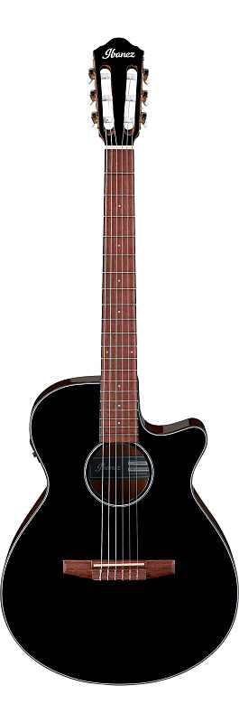 Фото IBANEZ AEG50N-BKH