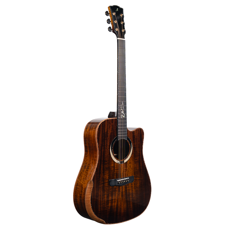 Фото Гитара акустическая Meridaextrema Gloria V-DC с чехлом