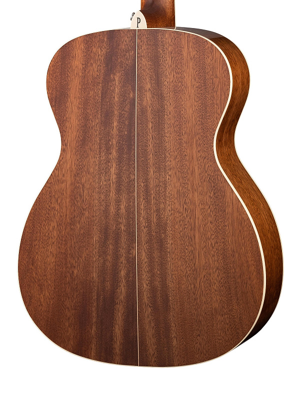 Фото Акустическая гитара, с чехлом Parkwood S62