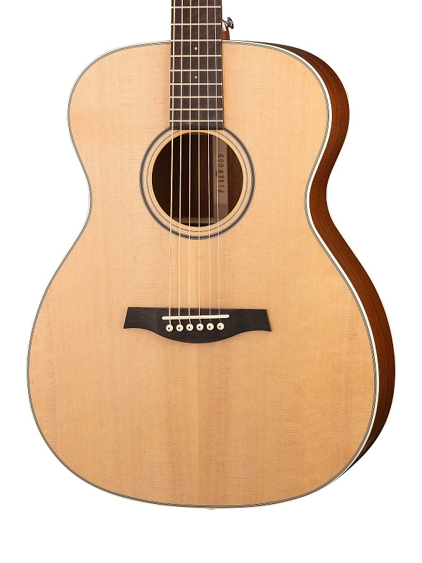 Фото Акустическая гитара Parkwood S22-GT