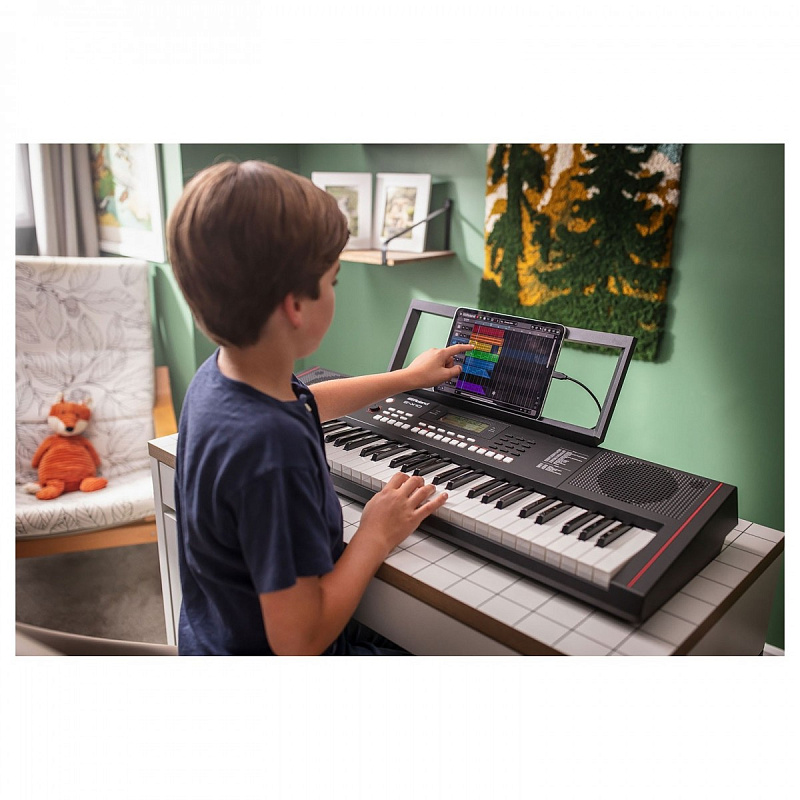 Фото Синтезатор с автоаккомпанементом Roland E-X10