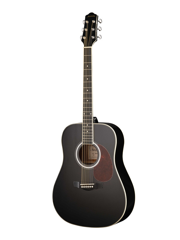 Фото Акустическая гитара Naranda DG220BK