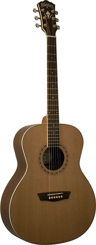Фото WASHBURN WMJ21S