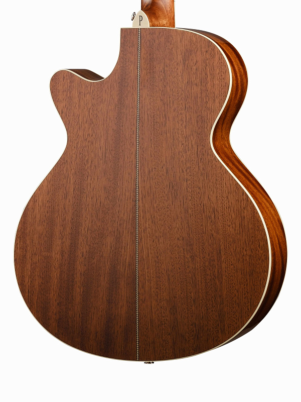Фото Электро-акустическая гитара, с вырезом, с футляром Parkwood P670