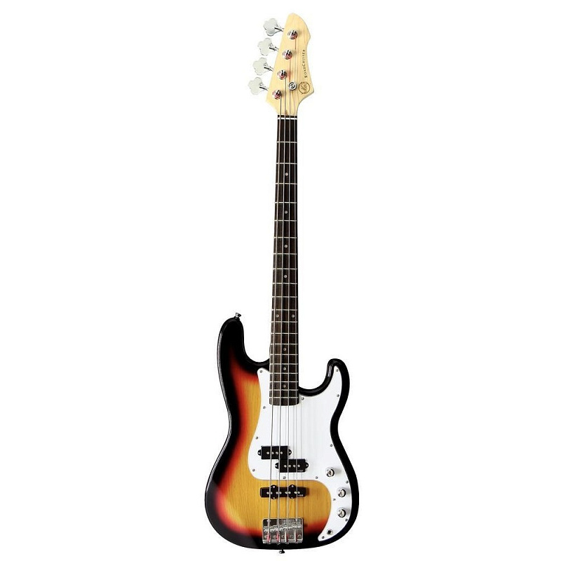 Фото VGS RCВ-100 SB