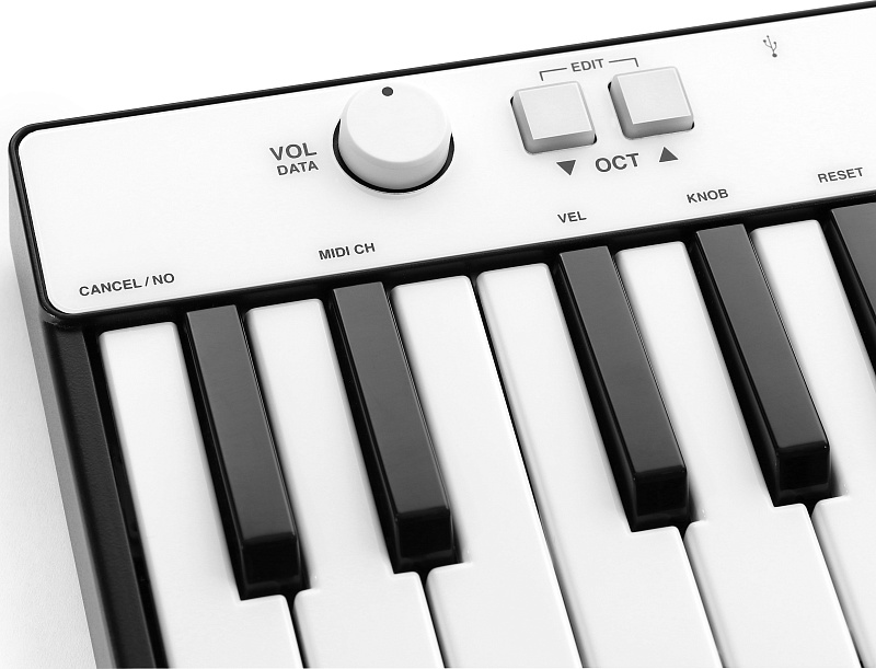 Фото MIDI-клавиатура IK Multimedia iRig Keys Mini