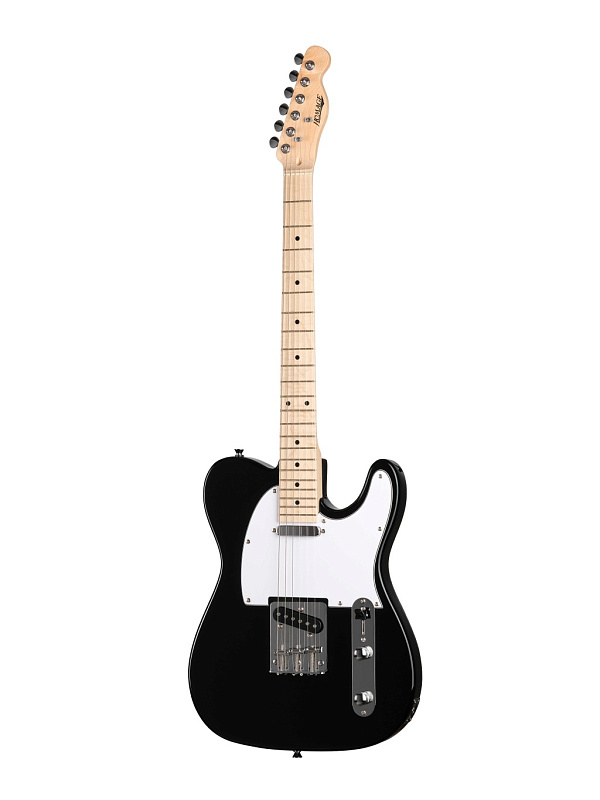 Фото Электрогитара Homage Telecaster SS HEG350BK  