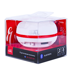 Портативная колонка GAL PA-56BT wt