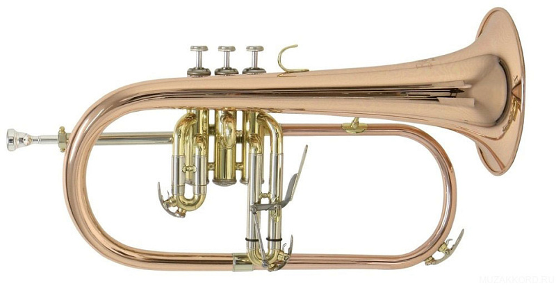 Фото BACH FH-501