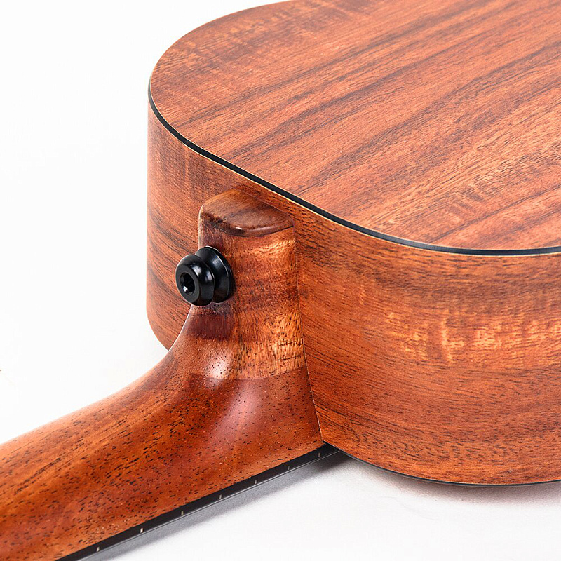 Фото Enya EUC-X1