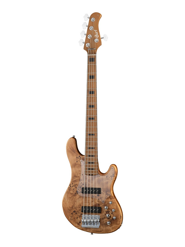 Фото Бас-гитара Cort GB-Modern-5-OPVN GB Series