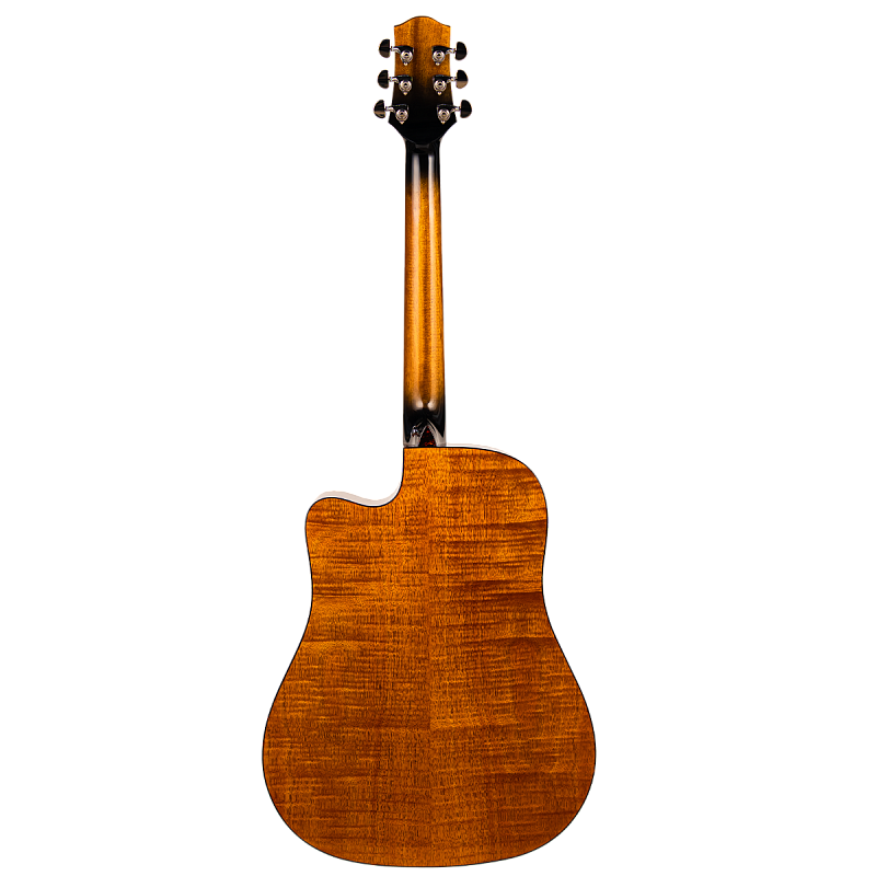 Фото Акустическая гитара Aion F20