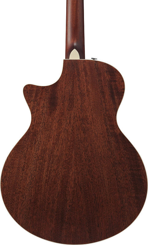 Фото Электроакустическая гитара IBANEZ AE200JR-DBF