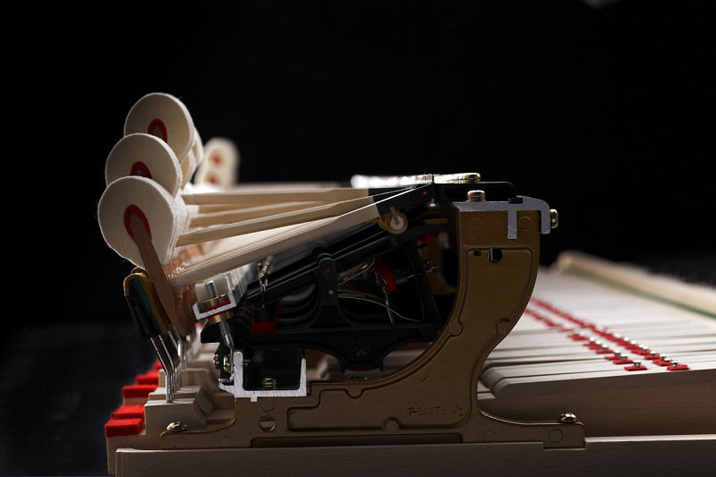 Фото Акустический рояль KAWAI GX-7 M/PEP