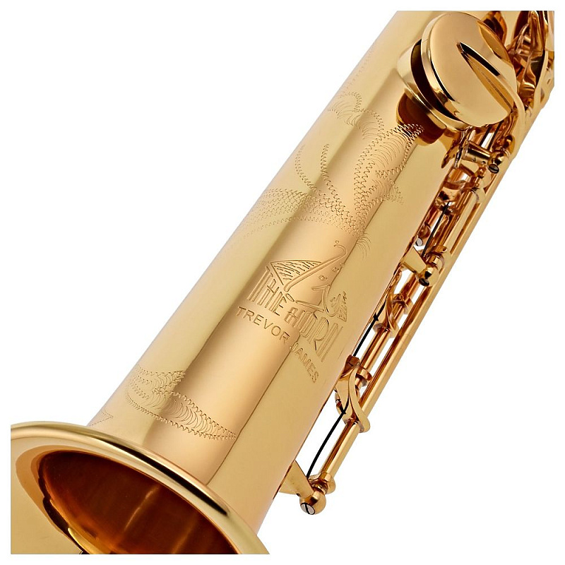 Сопрано саксофон Trevor James The Horn 3630G прямой в магазине Music-Hummer