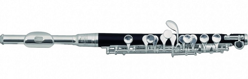 Фото Флейта ROY BENSON PC-502