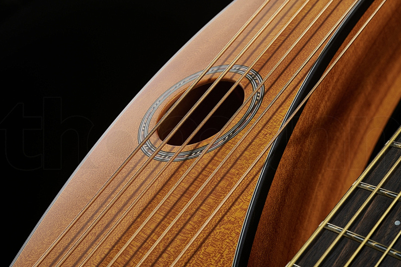 Фото Гитара-арфа Timberline Guitars T20HGpc