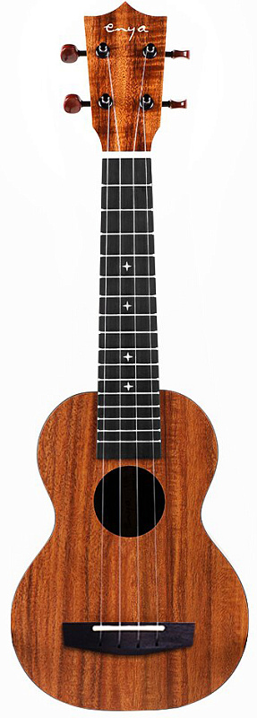 Фото Enya EUS-X1