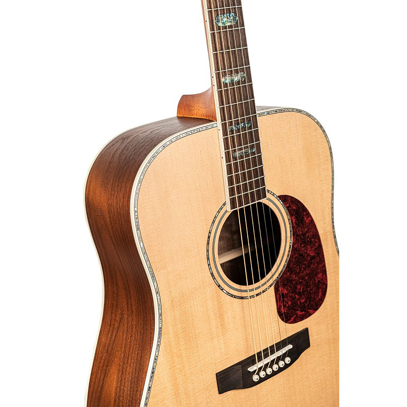 Фото Акустическая гитара Omni D-460S