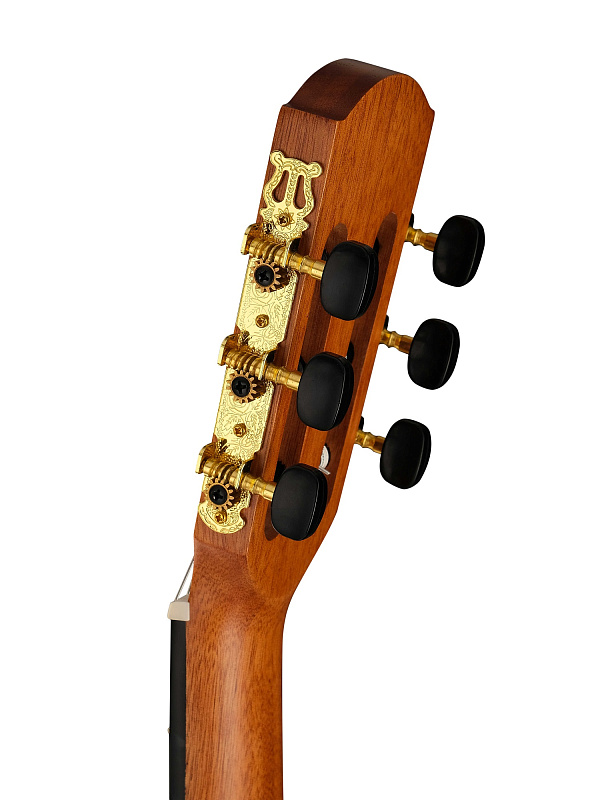 Фото Классическая гитара Cascha CGC200 Stage Series