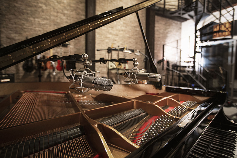 Фото Микрофон студийный ламповый WARM AUDIO WA-CX12