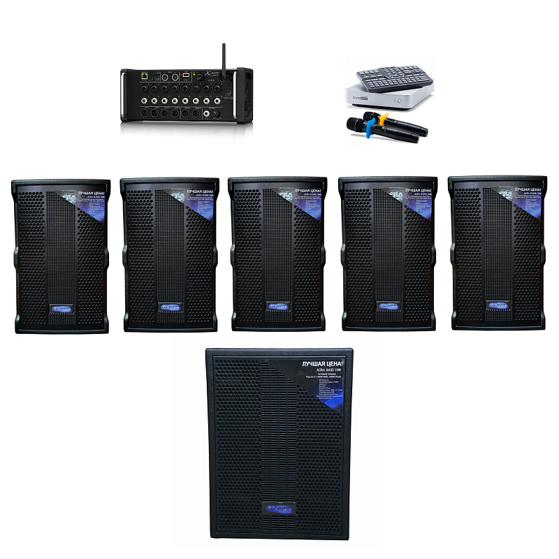 Фото Комплект караоке MultiSound AURUM Pro 5.1 Classic