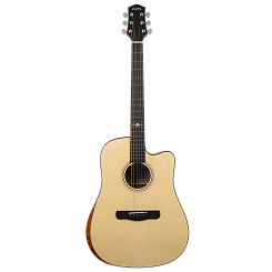 Акустическая гитара Aion Q20