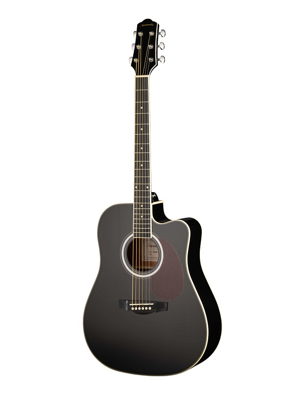 Фото Акустическая гитара Naranda DG220CBK