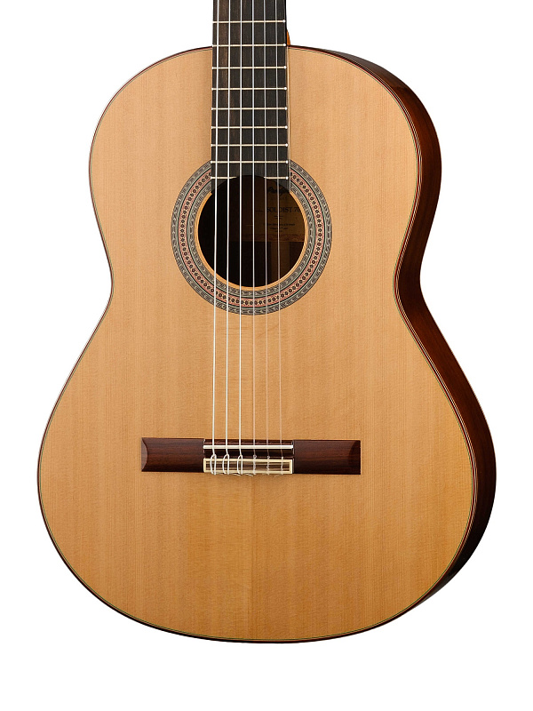 Фото Классическая гитара 4/4 Prodipe JMFSOLOIST700 Soloist 700