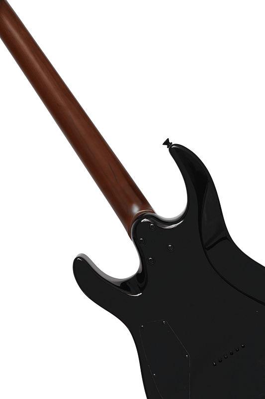 Фото Электрогитара Bosstone SEG STR6 BK