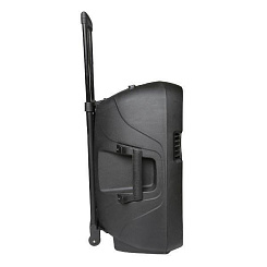 Активная акустическая система ECO VOYAGE XV