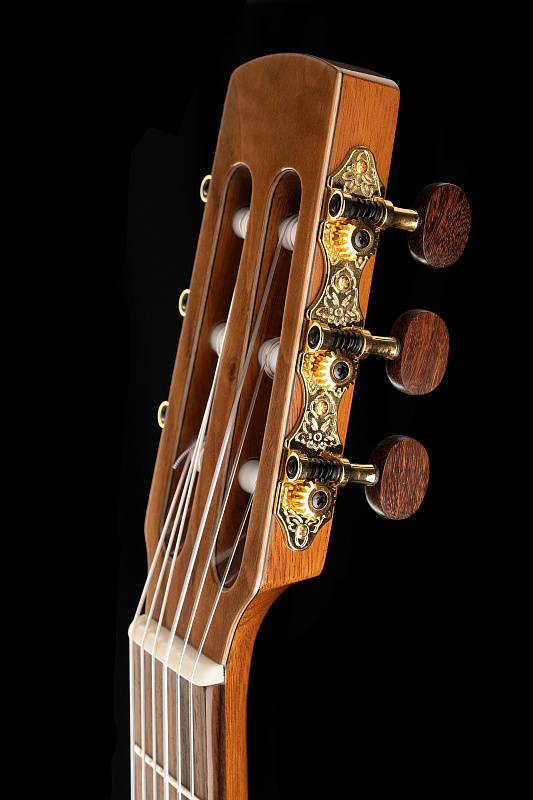 Фото Классическая гитара Kremona Daimen Performer Series