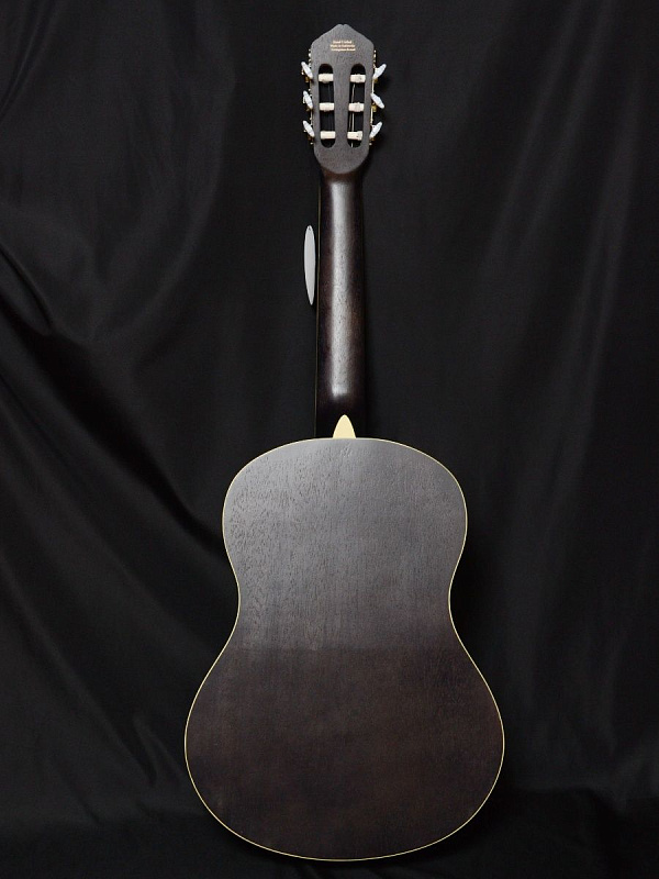 Фото Гитара классическая Livingstone Opera BK