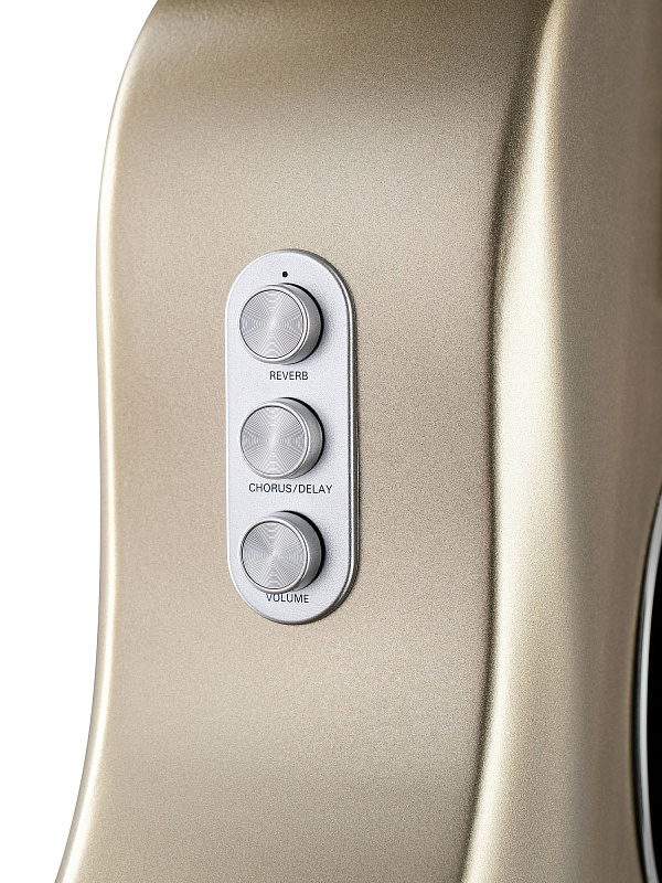 Фото Электро-акустическая гитара Simple Fly J1